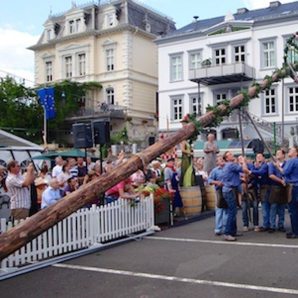 Die Schröter beim Aufstellen des Zunftbaumes
